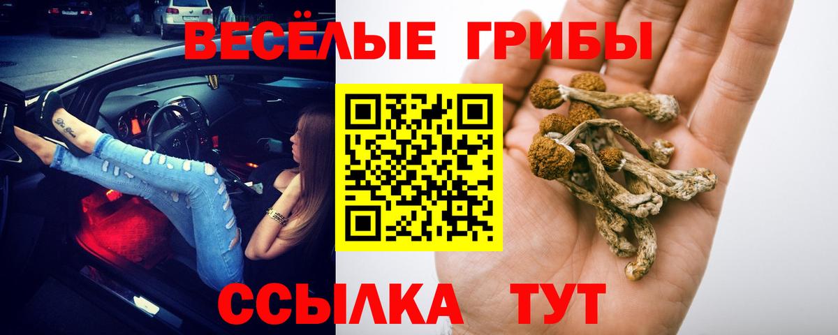 Лобня  Галлюциногенные грибы GOLDEN TEACHER  Галлюциногенные грибы мухоморы  Вход с VPN 